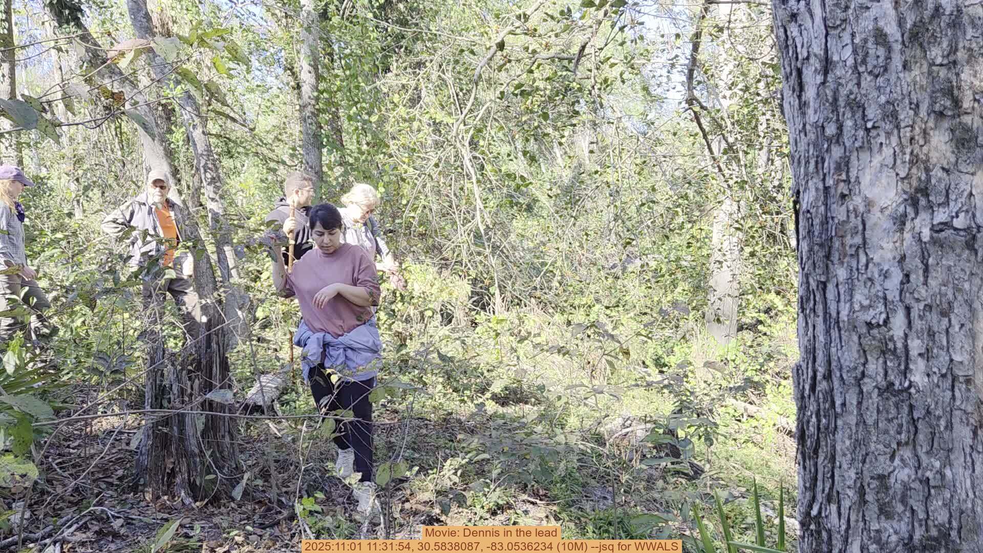 Movie: Dennis in the lead, 2025:11:01 11:31:54, 30.5838087, -83.0536234 (10M) --jsq for WWALS