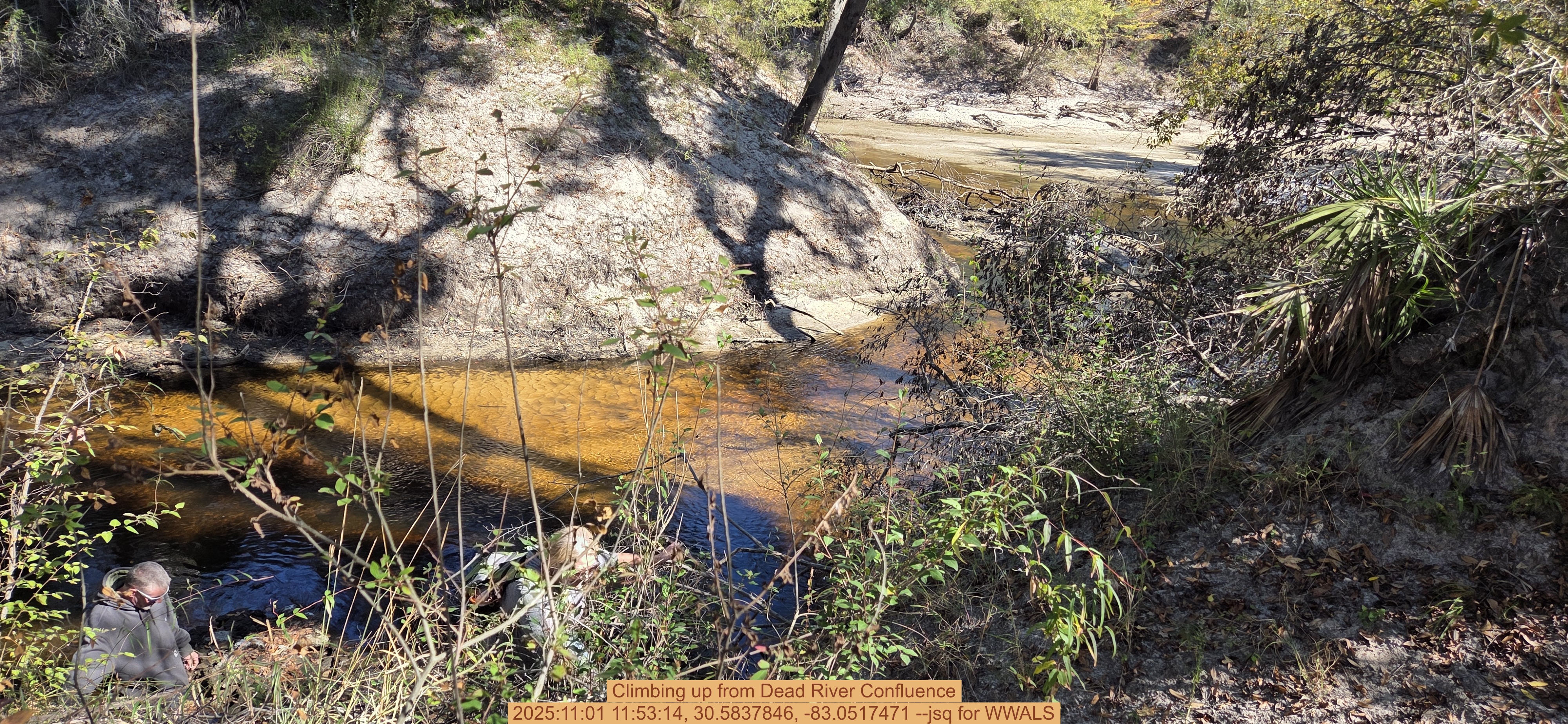 Climbing up from Dead River Confluence, 2025:11:01 11:53:14, 30.5837846, -83.0517471 --jsq for WWALS