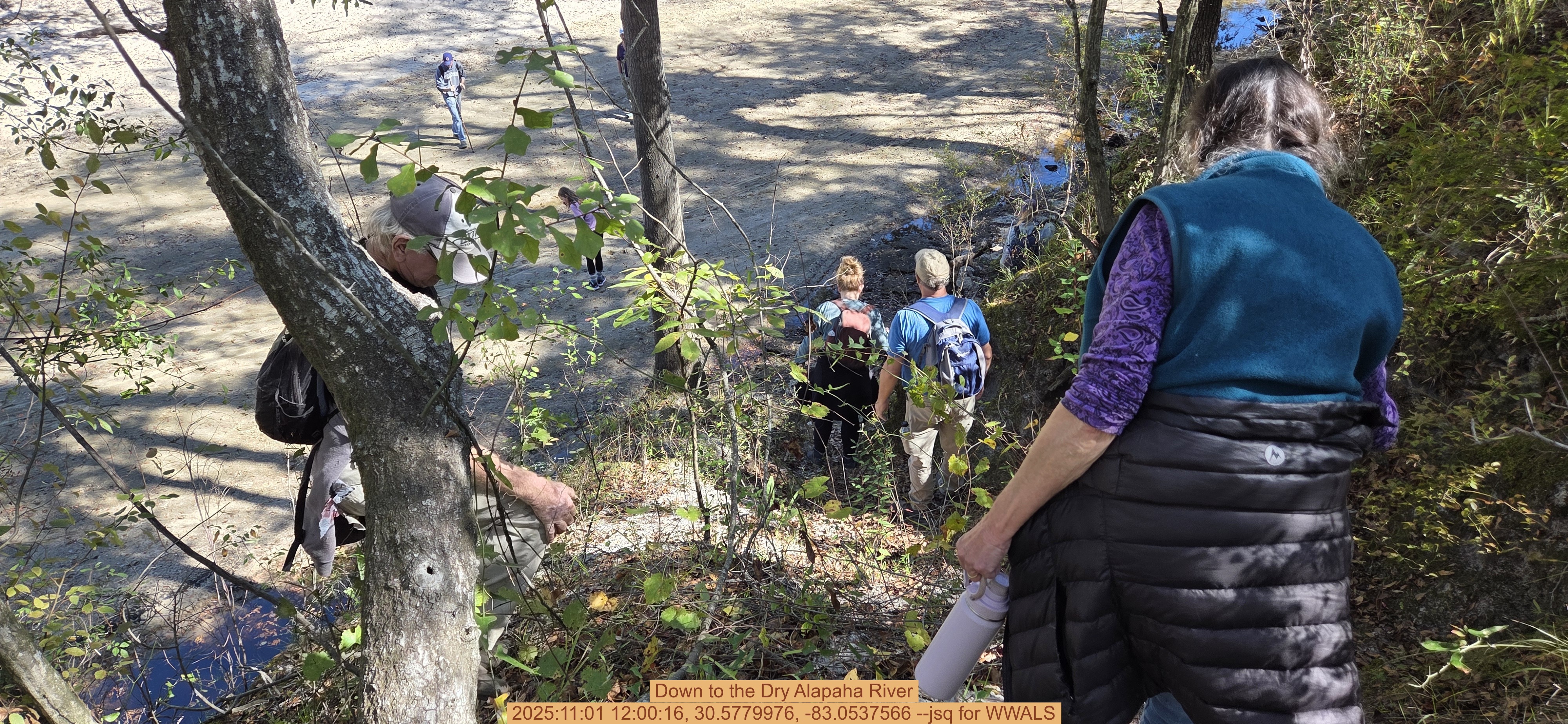 Down to the Dry Alapaha River, 2025:11:01 12:00:16, 30.5779976, -83.0537566 --jsq for WWALS