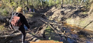 [Hiking to the Dead River Sink, 2025:11:01 10:18:59, 30.5817395, -83.0516727 --jsq for WWALS]