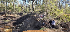 [Back to the steps at the Dead River Sink, 2025:11:01 10:26:55, 30.5816809, -83.0517041 --jsq for WWALS]