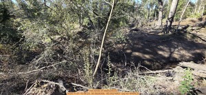 [Two kinds of obstructions, 2025:11:01 10:56:23, 30.5828358, -83.0521643 --jsq for WWALS]