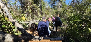 [Around that vine, 2025:11:01 11:00:13, 30.5828859, -83.0520988 --jsq for WWALS]