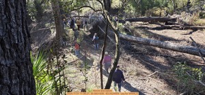 [Above and below, 2025:11:01 11:06:21, 30.5831509, -83.0524904 --jsq for WWALS]