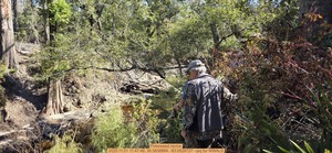 [Pokeweed ravine, 2025:11:01 11:47:48, 30.5838884, -83.0526727 --jsq for WWALS]