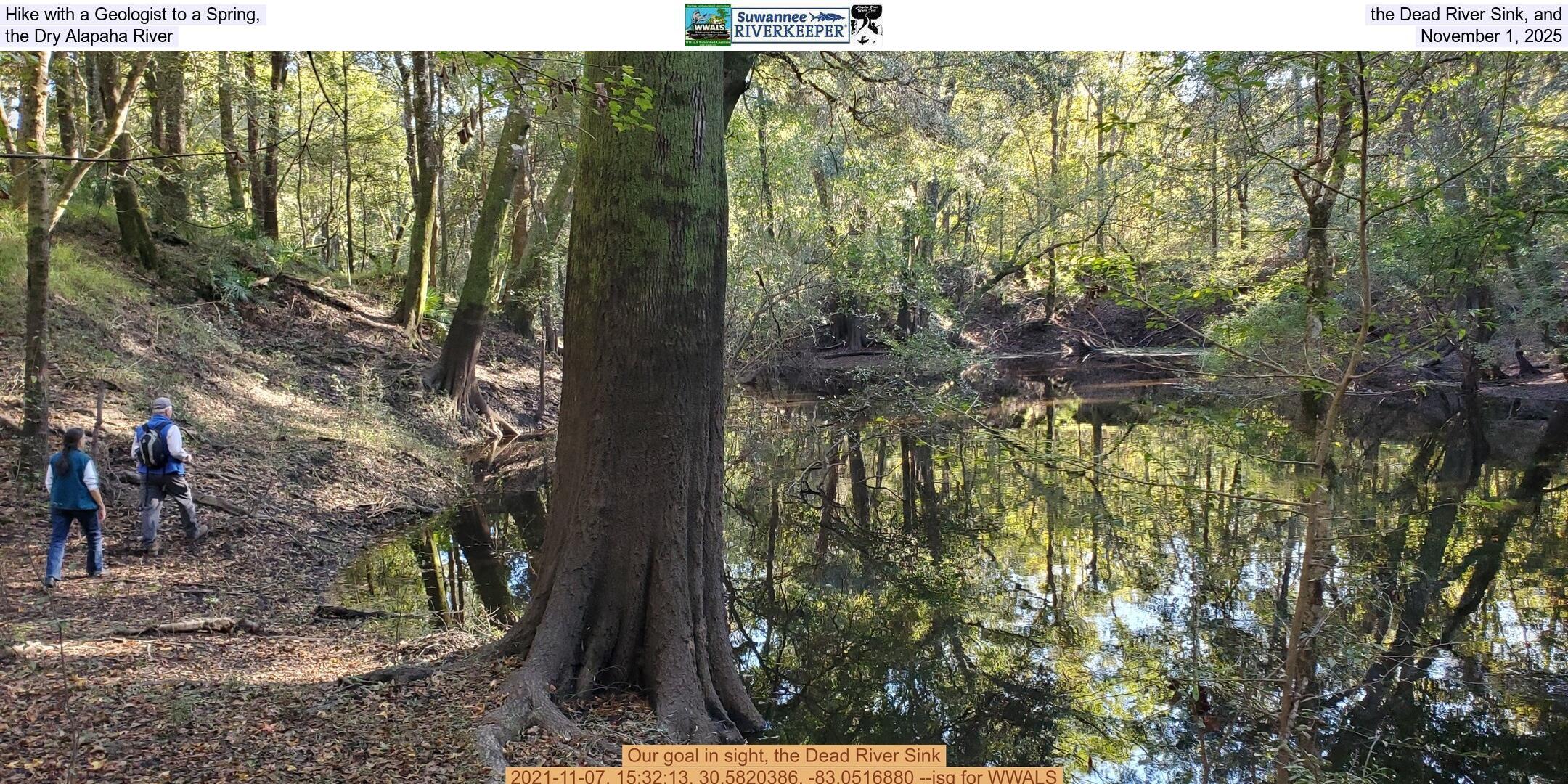 Hike with a Geologist to a Spring, the Dead River Sink, and the Dry Alapaha River, November 1, 2025