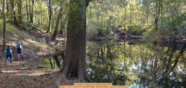 [Our goal in sight, the Dead River Sink, 2021-11-07, 15:32:13, 30.5820386, -83.0516880 --jsq for WWALS]