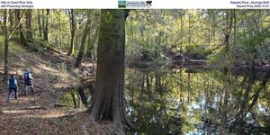 [Hike to Dead River Sink, Alapaha River, Jennings Bluff, with Practicing Geologist Dennis Price 2025-11-01]