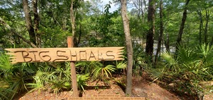 [Big Shoals behind sign, 11:04:52, 30.3397569, -82.6828750]