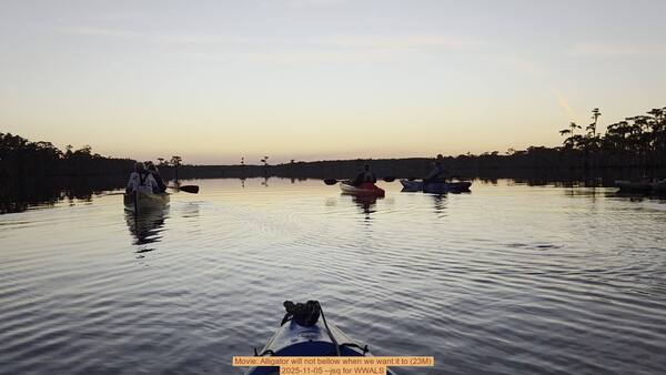 Movie: Alligator will not bellow when we want it to (23M), 2025-11-05 --jsq for WWALS