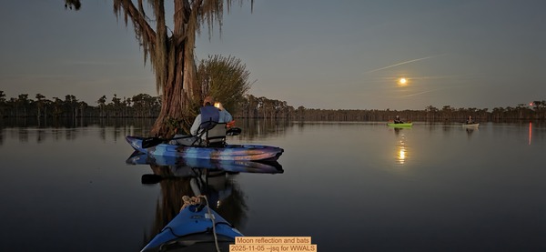 [Moon reflection and bats, 2025-11-05 --jsq for WWALS]
