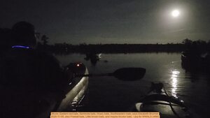 [Movie: Eastern red bats, Seminole bats, Hoary bats, Southeastern bats, says Elizabeth Brunner, 2025-11-05, also Freetail bats, Little brown bats, and maybe tricolor bats. --jsq for WWALS (48M)]