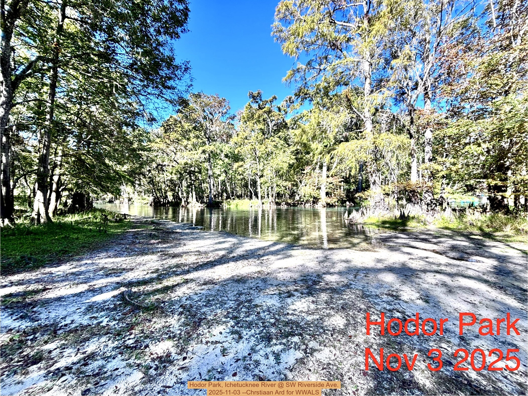 Hodor Park, Ichetucknee River @ SW Riverside Ave. 2025-11-03 --Chrstiaan Ard for WWALS