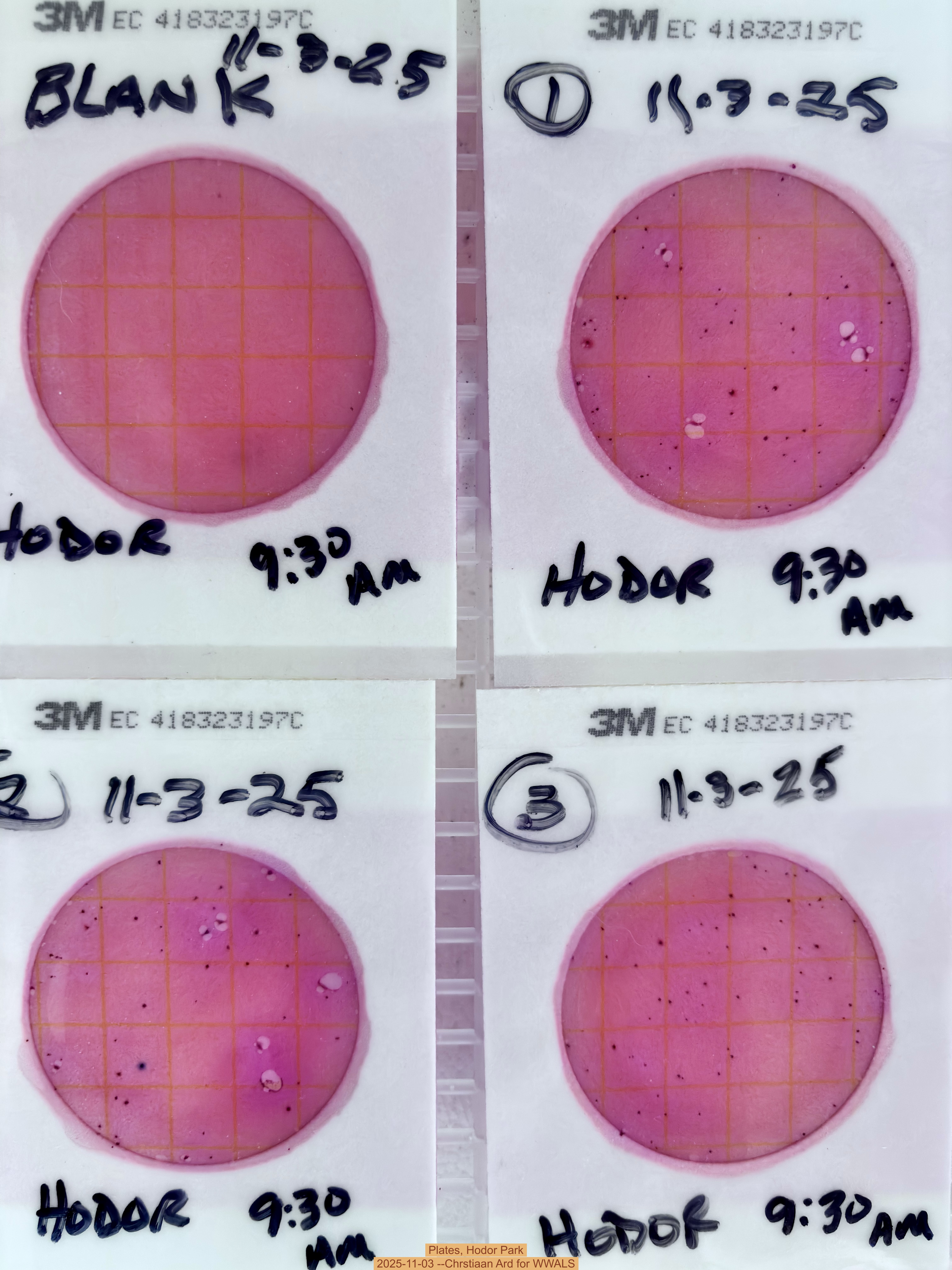 Plates, Hodor Park 2025-11-03 --Chrstiaan Ard for WWALS