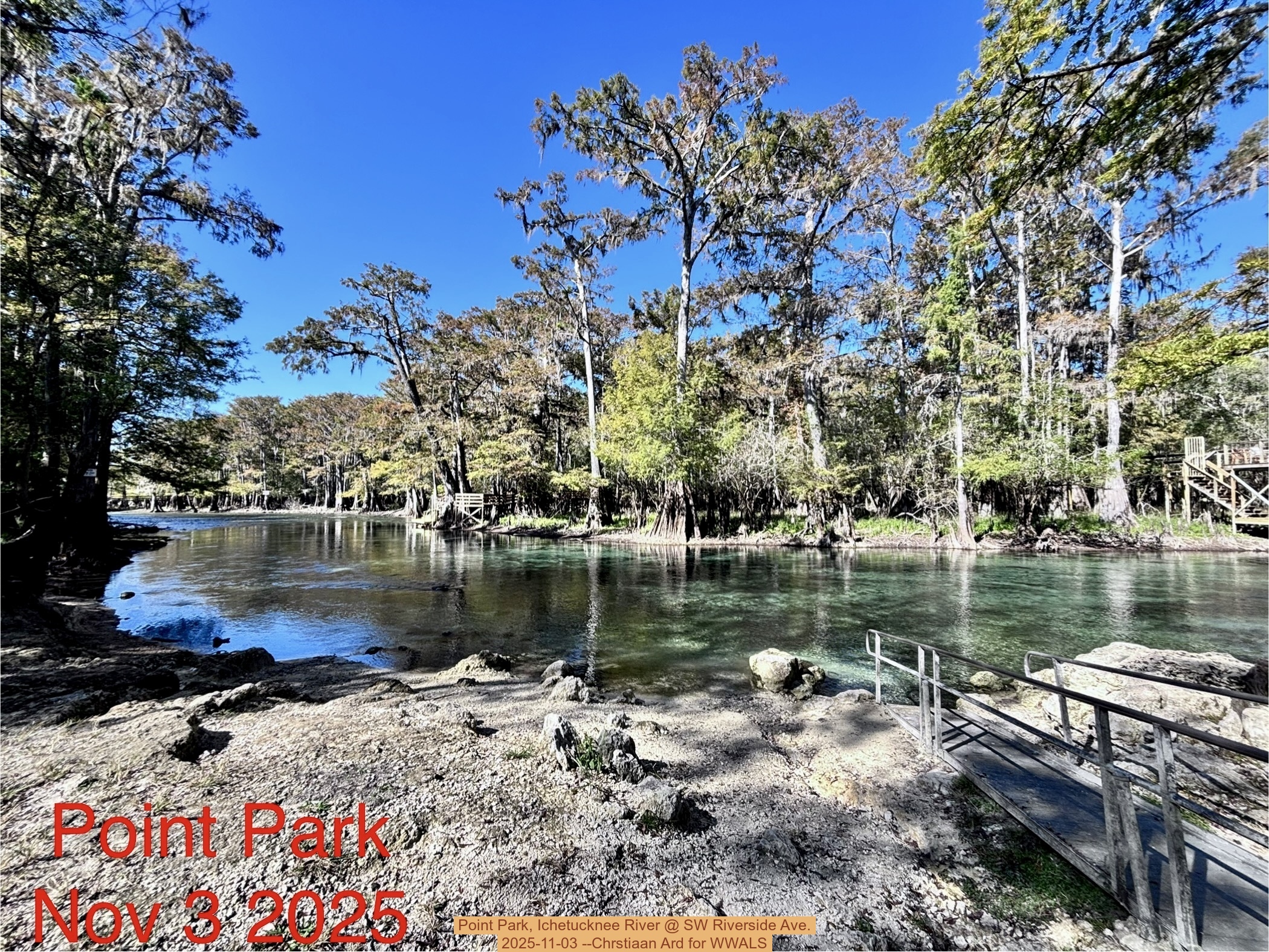 Point Park, Ichetucknee River @ SW Riverside Ave. 2025-11-03 --Chrstiaan Ard for WWALS