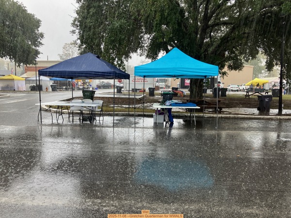 Wet, 2025-11-08 --Gretchen Quarterman for WWALS