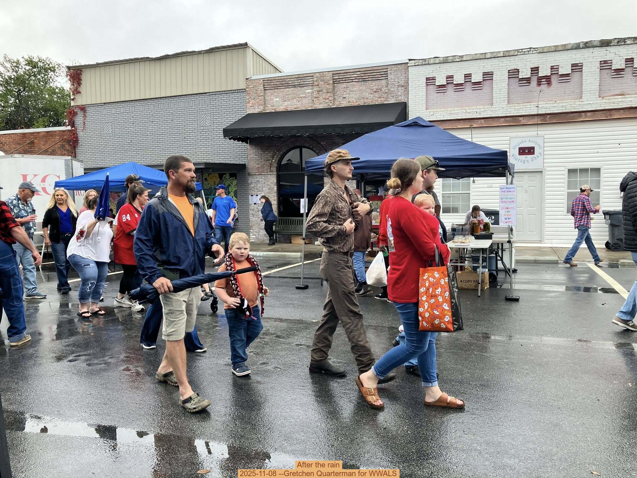 After the rain, 2025-11-08 --Gretchen Quarterman for WWALS