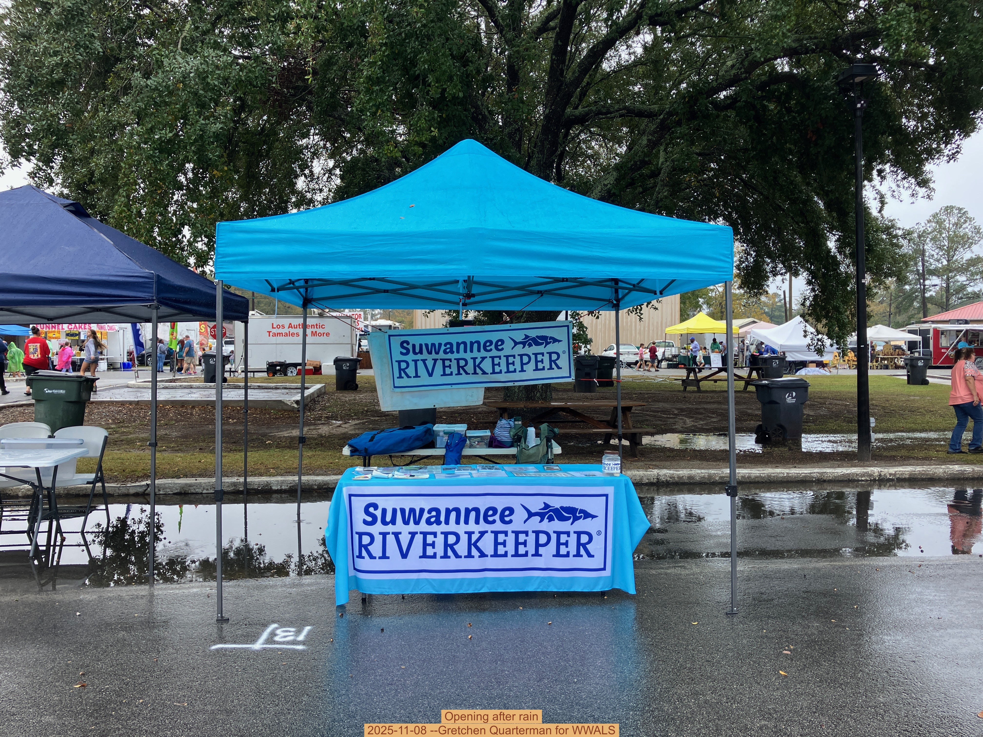 Opening after rain, 2025-11-08 --Gretchen Quarterman for WWALS