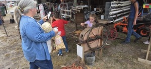 [Sugar Cane grinding]