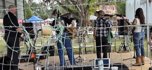 [One of several bands]