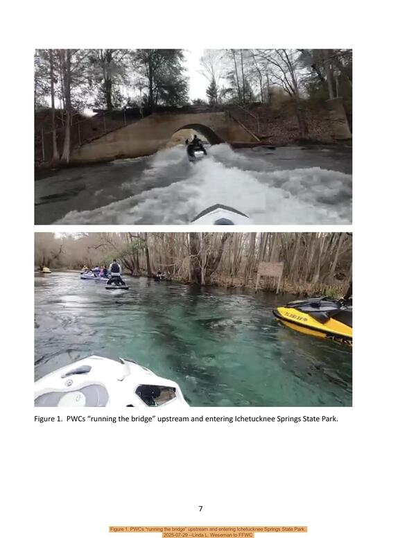 [Figure 1. PWCs “running the bridge” upstream and entering Ichetucknee Springs State Park, 2025-10-07 --Linda Weseman to FFWC]