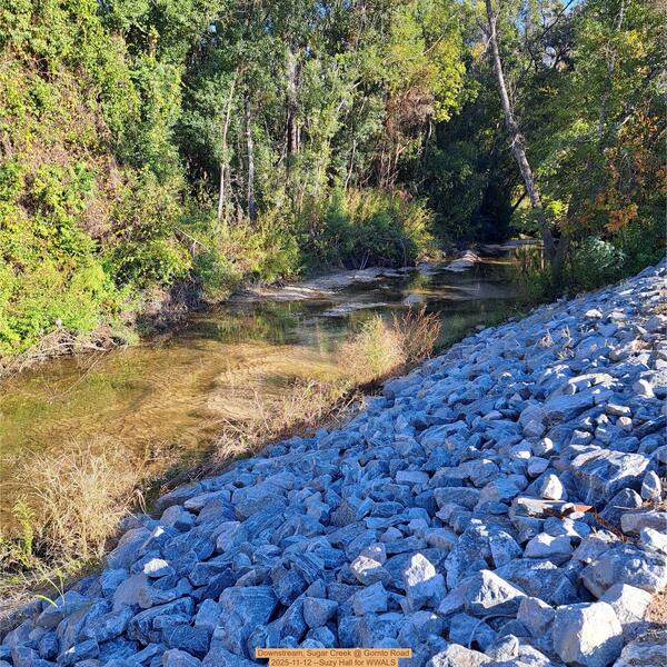 Downstream, Sugar Creek @ Gornto Road 2025-11-12 --Suzy Hall for WWALS