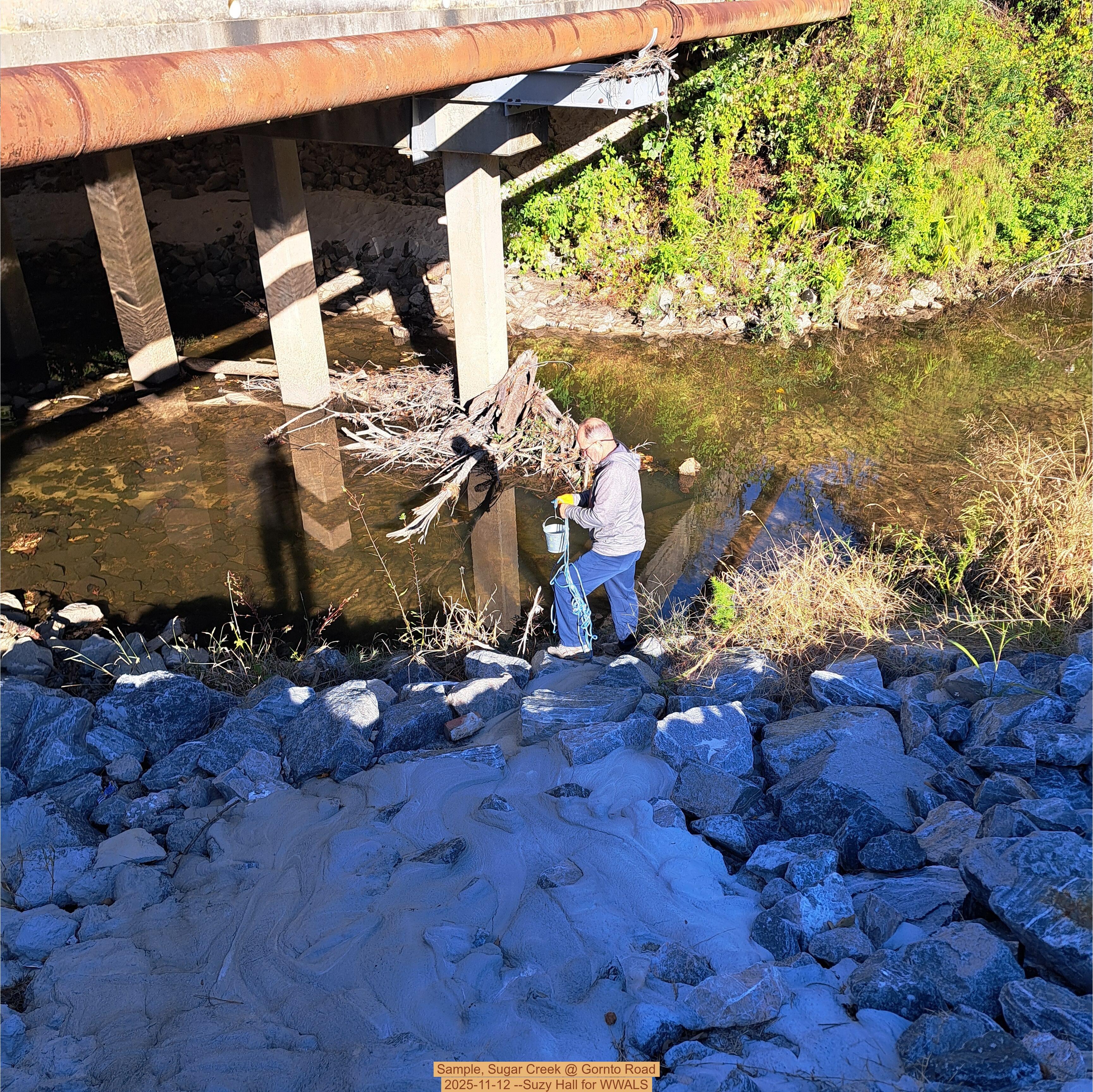 Sample, Sugar Creek @ Gornto Road 2025-11-12 --Suzy Hall for WWALS