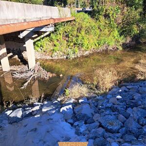 [Across, Sugar Creek @ Gornto Road 2025-11-12 --Suzy Hall for WWALS]