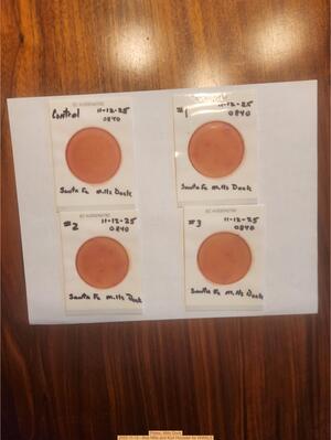 [Plates, Mills Dock 2025-11-12 --Bob Mills and Kurt Hurzeler for WWALS]