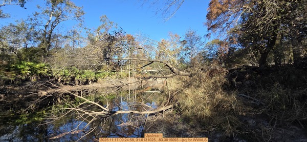 Upstream, 2025:11:17 09:24:58, 31.0131025, -83.3015093 --jsq for WWALS