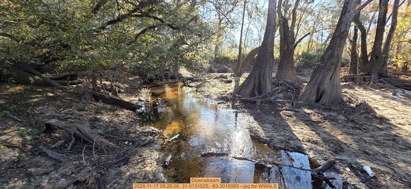 Downstream, 2025:11:17 09:25:00, 31.0131025, -83.3015093 --jsq for WWALS