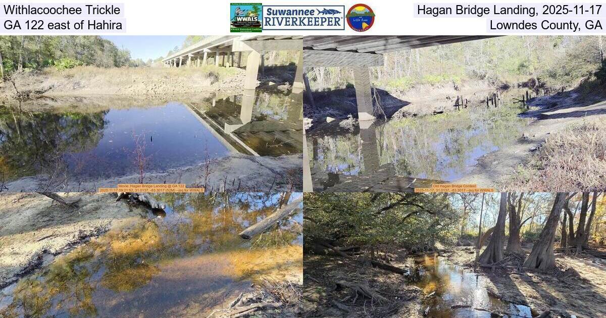 Withlacoochee Trickle, Hagan Bridge Landing, 2025-11-17, GA 122 east of Hahira, Lowndes County, GA