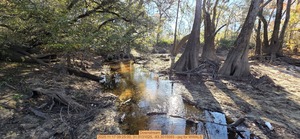 [Downstream, 2025:11:17 09:25:00, 31.0131025, -83.3015093 --jsq for WWALS]