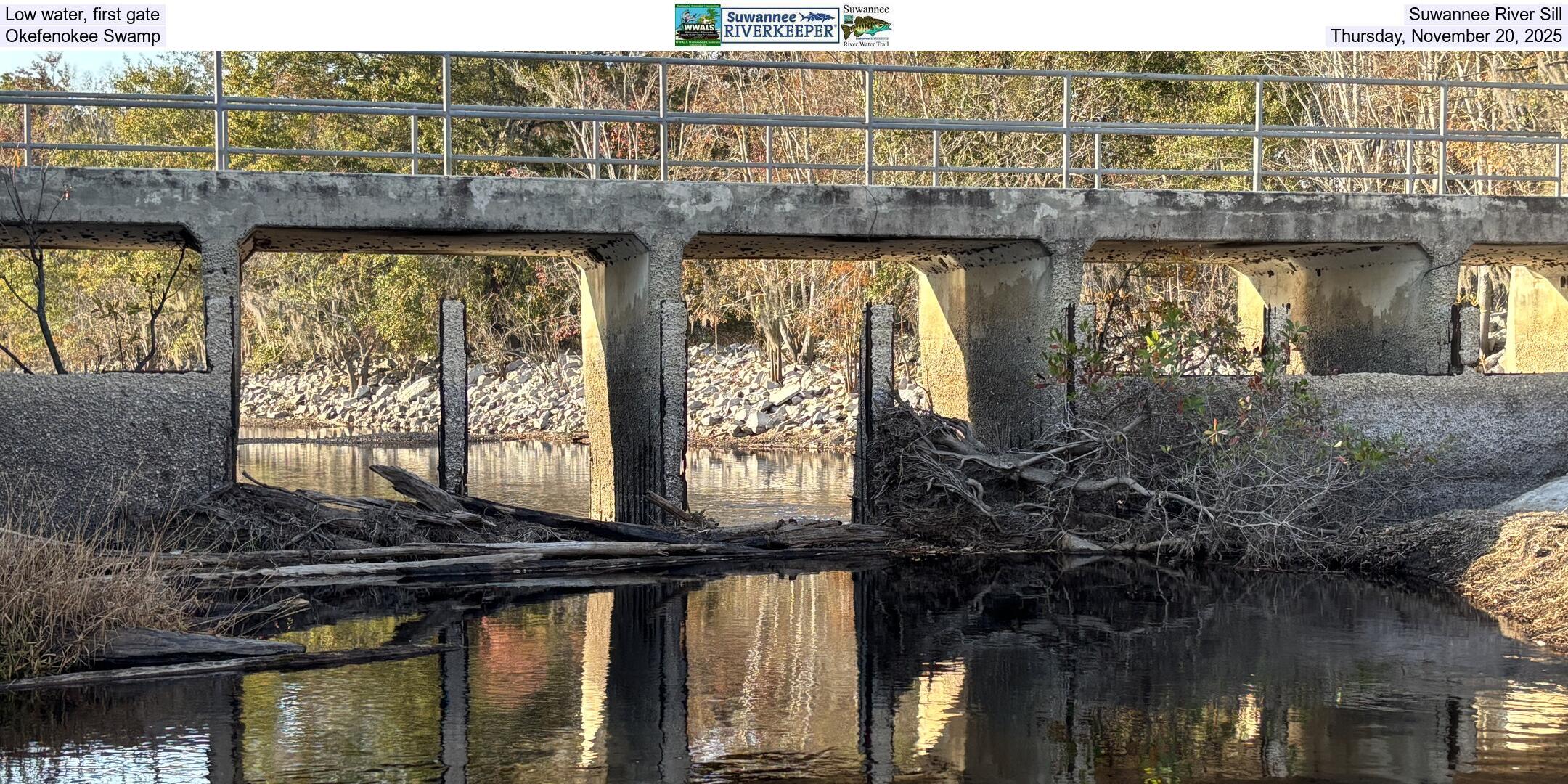 Low water, first gate, Suwannee River Sill, Okefenokee Swamp, Thursday, November 20, 2025