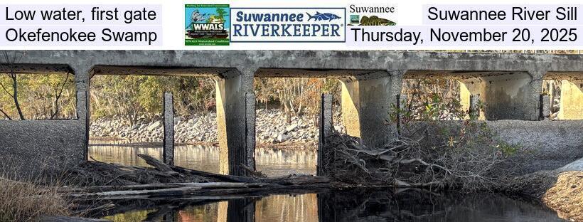 Low water, first gate, Suwannee River Sill, Okefenokee Swamp, Thursday, November 20, 2025