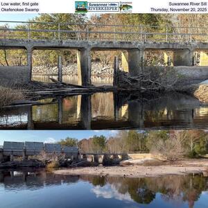[Low water, first gate, Suwannee River Sill, Okefenokee Swamp, Thursday, November 20, 2025]