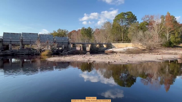 Wide view, 2025-11-15 --Shirley Kokidko for WWALS