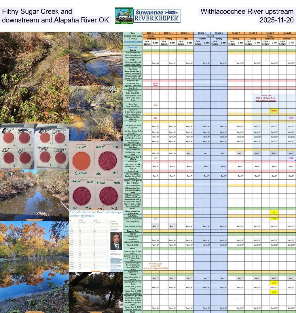 Filthy Sugar Creek and Withlacoochee River upstream, downstream and Alapaha River OK, 2025-11-20