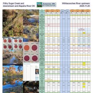 [Filthy Sugar Creek and Withlacoochee River upstream, downstream and Alapaha River OK, 2025-11-20]