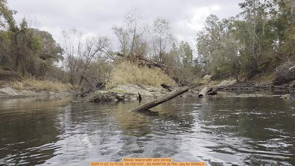 Movie: Island with very old log, 2025:11:22 12:15:54, 30.7021437, -83.4549778 (8.7M) --jsq for WWALS