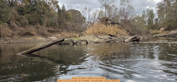 [Eyot, an island visible at low water, 2025:11:22 12:16:05, 30.7016860, -83.4551060 --jsq for WWALS]