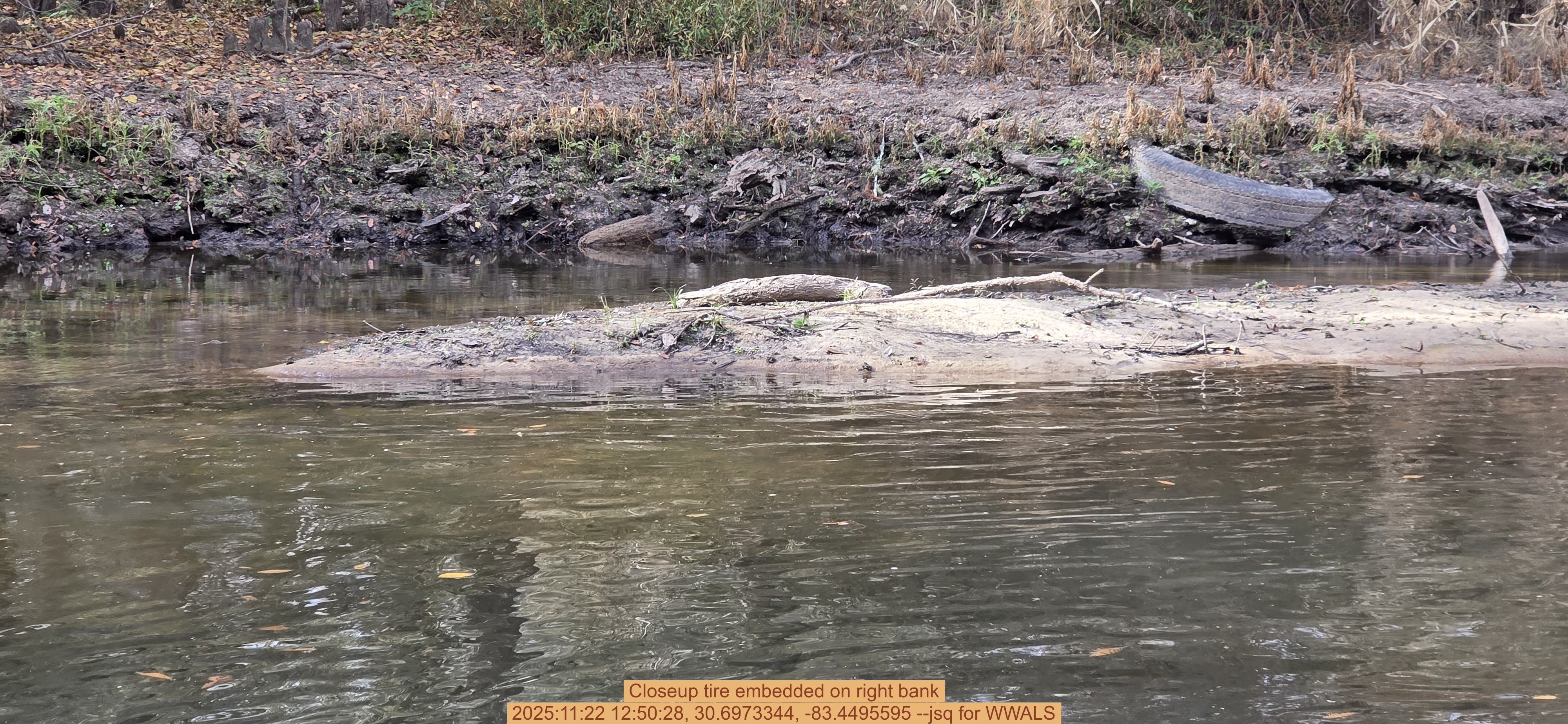 Closeup tire embedded on right bank, 2025:11:22 12:50:28, 30.6973344, -83.4495595 --jsq for WWALS
