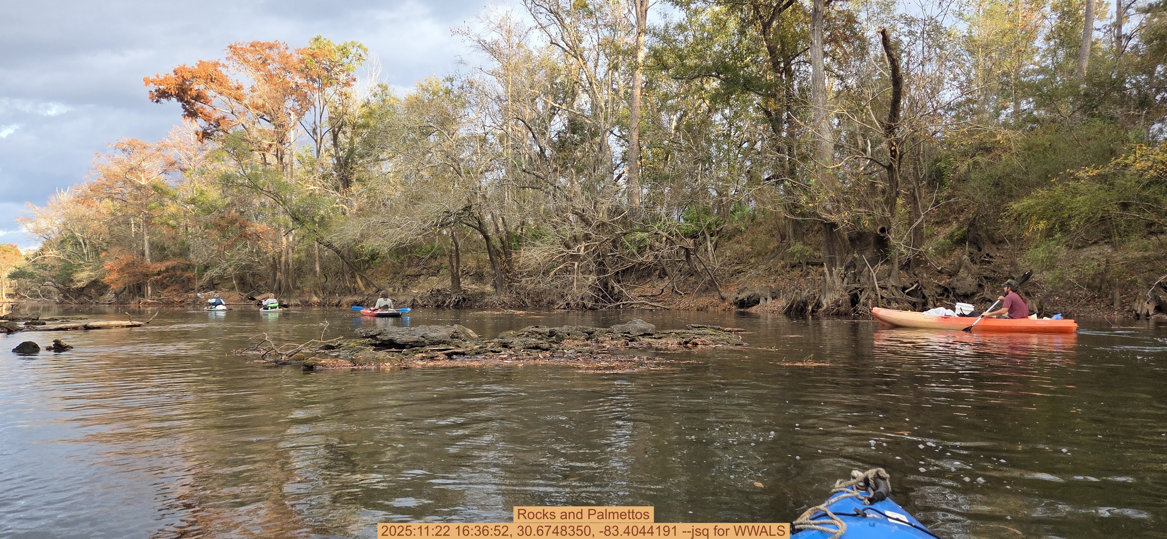 Rocks and Palmettos, 2025:11:22 16:36:52, 30.6748350, -83.4044191 --jsq for WWALS