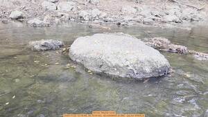 [Movie: Maybe coral, 2025:11:22 12:16:48, 30.7014193, -83.4549955 (4.5M) --jsq for WWALS]