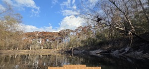 [High trash and red cypress, 2025:11:22 15:01:05, 30.6863687, -83.4227328 --jsq for WWALS]