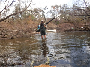 [Will tosses a limb, 2025:11:22 15:47:12 --Scotti Jay for WWALS]