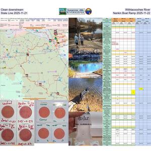 [Clean downstream Withlacoochee River, State Line 2025-11-21, Nankin Boat Ramp 2025-11-22]