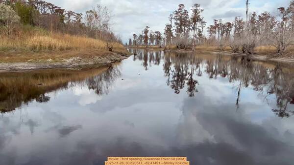 [Movie: Third opening, Suwannee River Sill (20M), 2025-11-26, 30.820547, -82.41491 --Shirley Kokidko]
