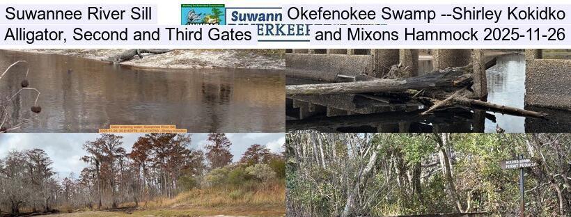 Suwannee River Sill, Okefenokee Swamp --Shirley Kokidko, Alligator, Second and Third Gates, and Mixons Hammock 2025-11-26