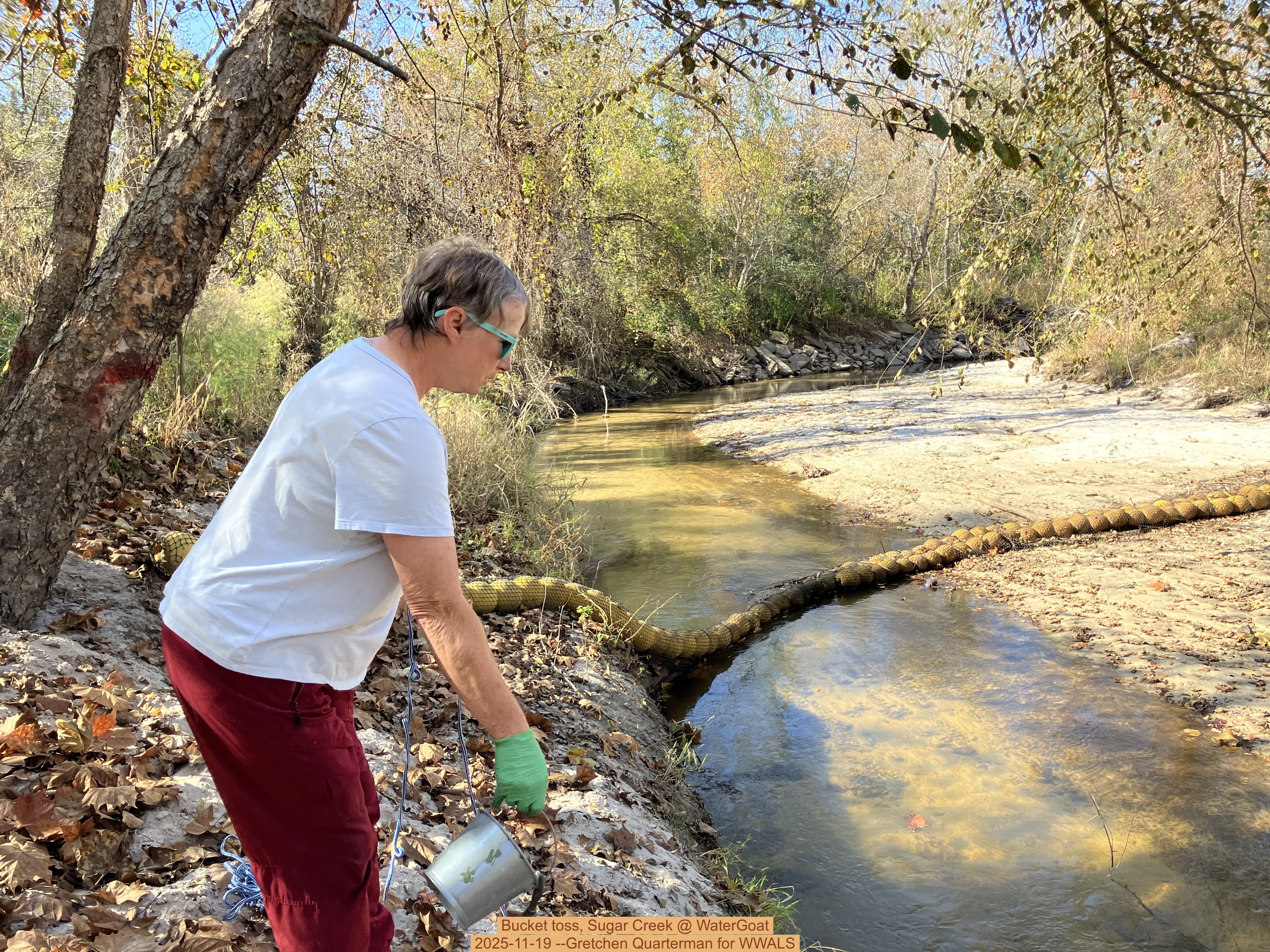 Bucket toss, Sugar Creek @ WaterGoat, 2025-11-19 --Gretchen Quarterman for WWALS